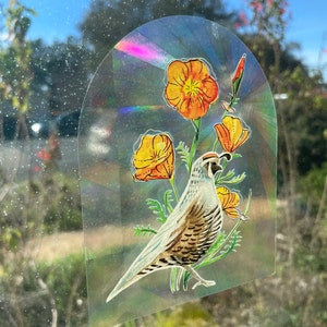Poppy & Quail Sun Catcher window decal | holographic sticker cast rainbows | rainbow maker California wildflowers sticker 4x5 inches