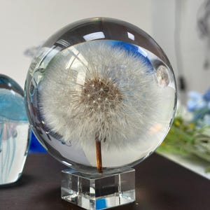 Dandelion resin paperweight, Dandelion Sphere, Dandelion desk home office decor, Dandelion in resin,Dandelion crystal ball,Resin paperweight