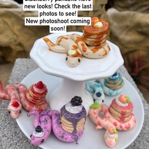 Snake Collection: Pancake Clay/ pottery/ art